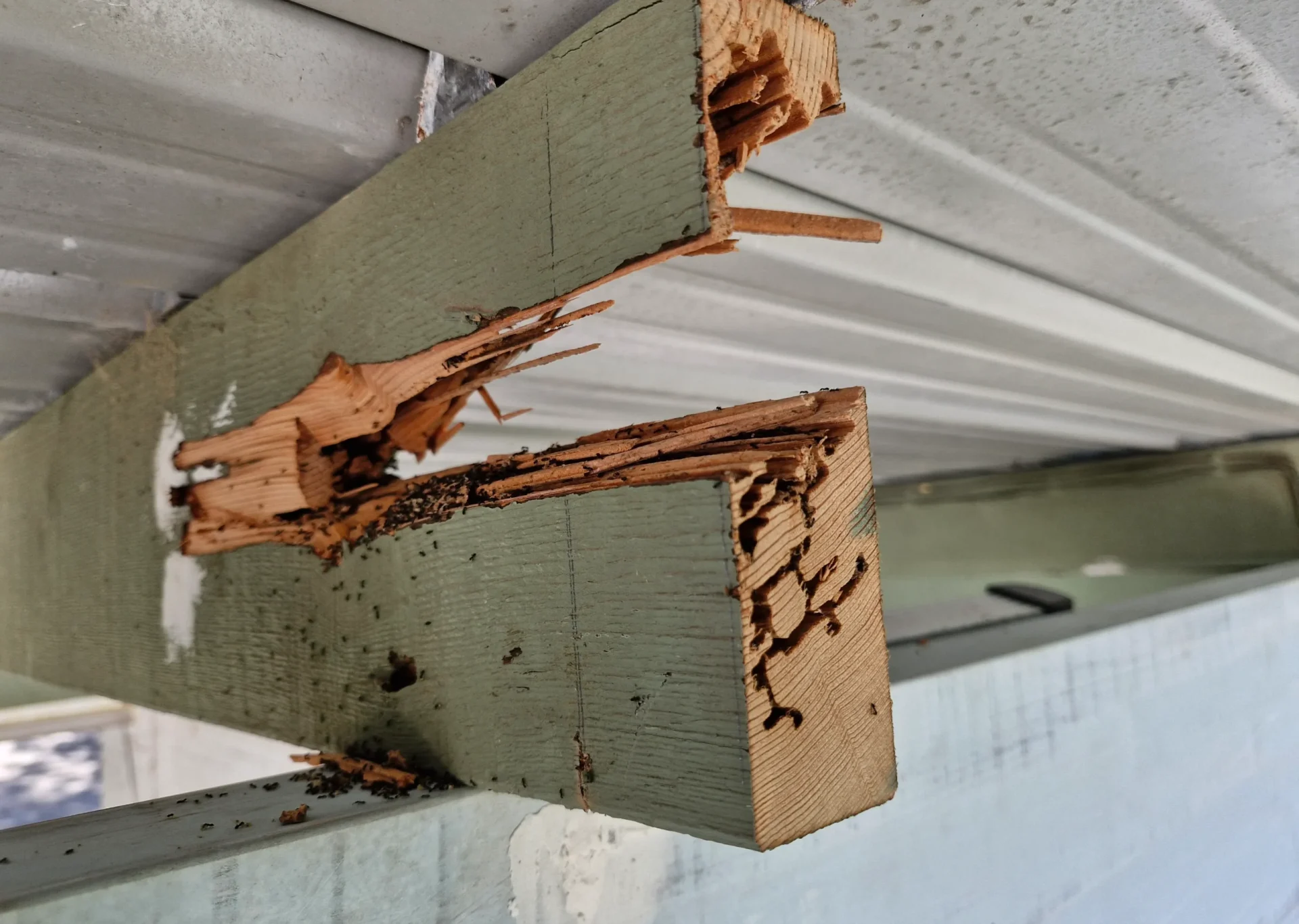 structural damage